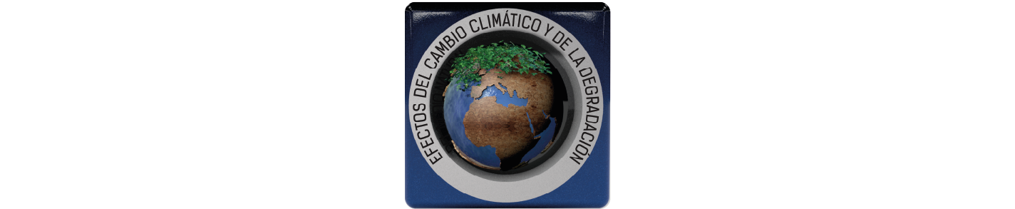 Prueba
