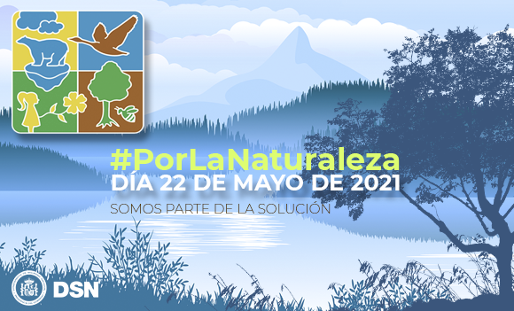 Dia Naturaleza