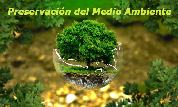 Medio Ambiente