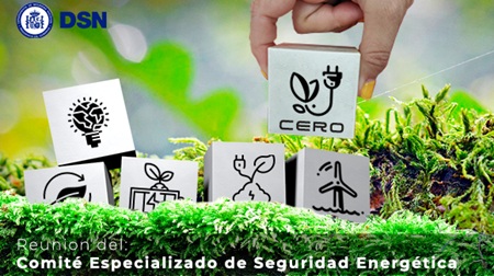 Comité Energía