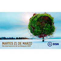 Día Internacional de los bosques