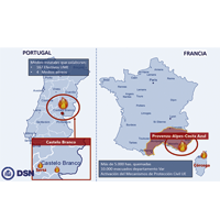 Incendios en Portugal y Francia