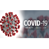 Resultado de imagen de Coronavirus COVID-19