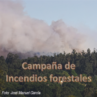 Foto original en https://commons.wikimedia.org/wiki/File:Incendio_forestal_en_Teo_-_09.jpg
