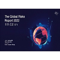 WEF - Global Risk
