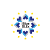 Ejercicio Blue Olex 2019. Gestión de ciber crisis