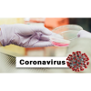 Coronavirus (2019-nCoV) - 04 de febrero 2020